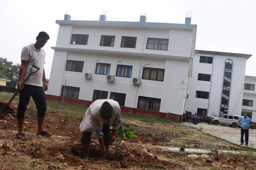 हुप्सेकोटमा कृषि प्रणालीलाई विषादीरहित बनाउने अभियान