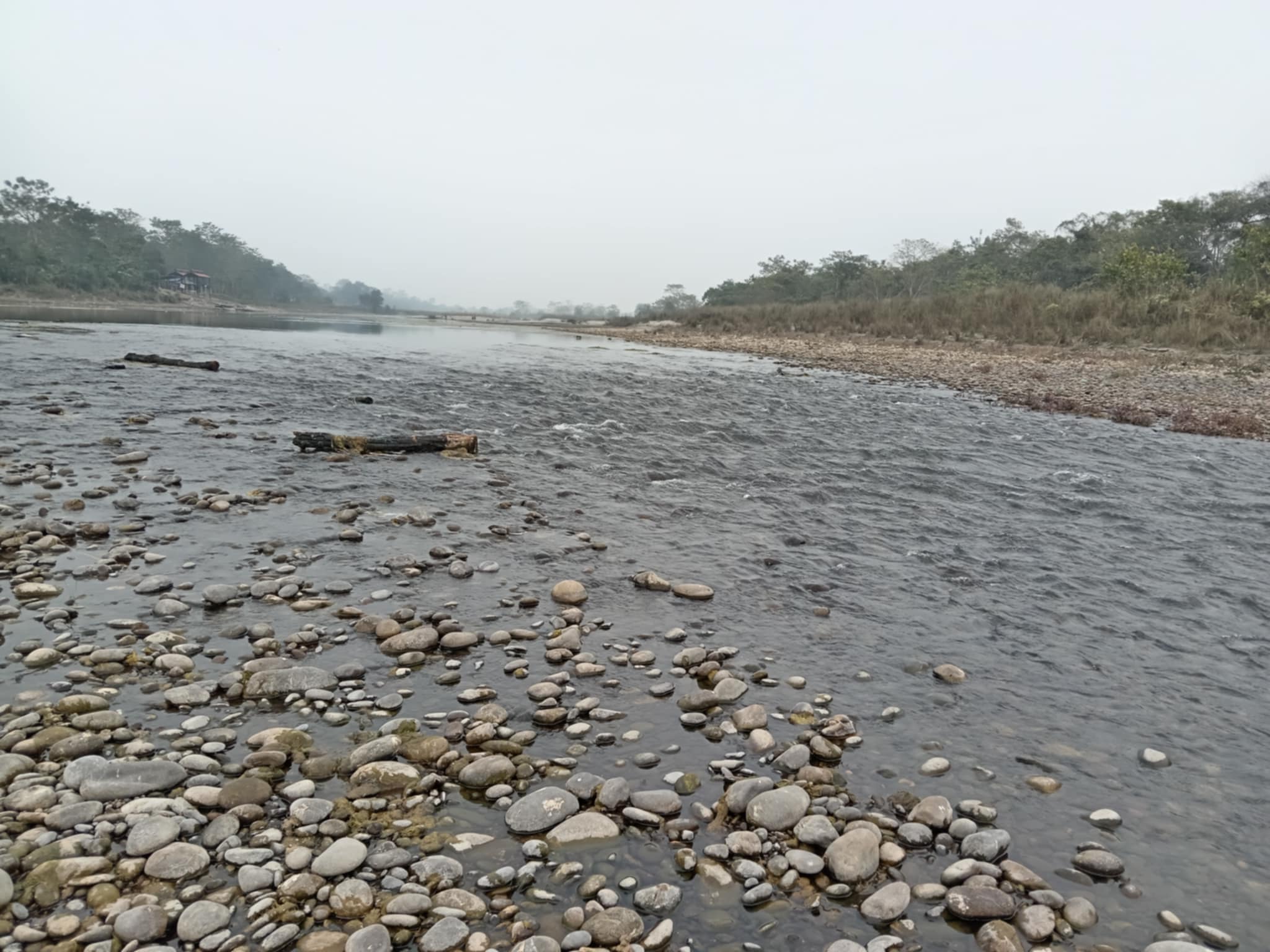 नारायणी नदी चितवनतर्फ मात्र बग्न थाल्यो, नवलपुरको गैँडाकोट-त्रिवेणी नदि किनार सुख्खा हुँदै
