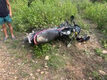 विनयी त्रिवेणीको सिसेनी जंगलमा गैडाको आक्रमण, मोटरसाइकलमा क्षति