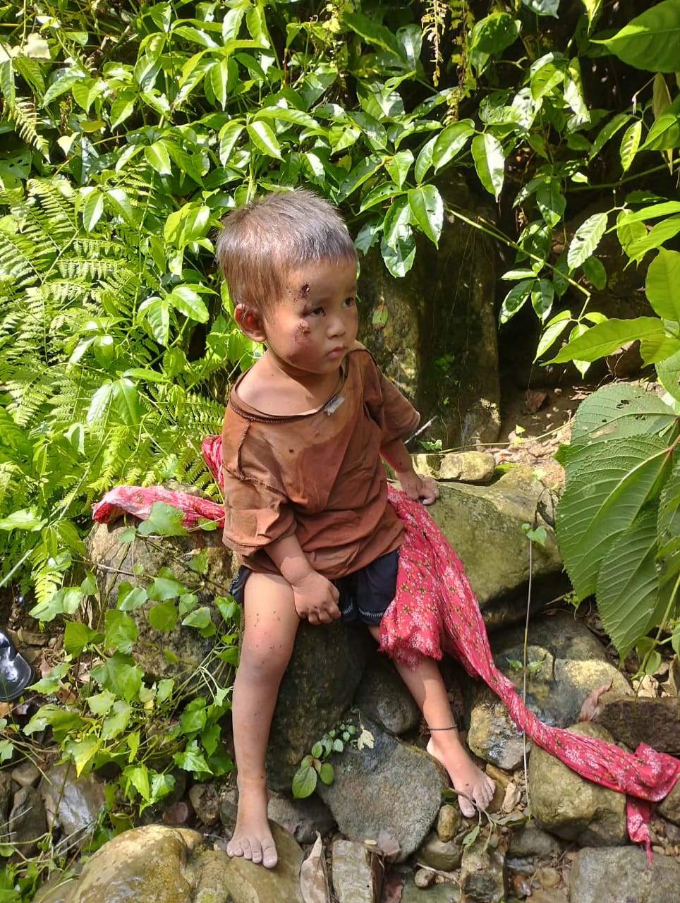 नवलपरासीको गैंडाकोटबाट हराएका साढे दुई वर्षीय बालक दुई दिनपछि जंगलमा सकुशल फेला